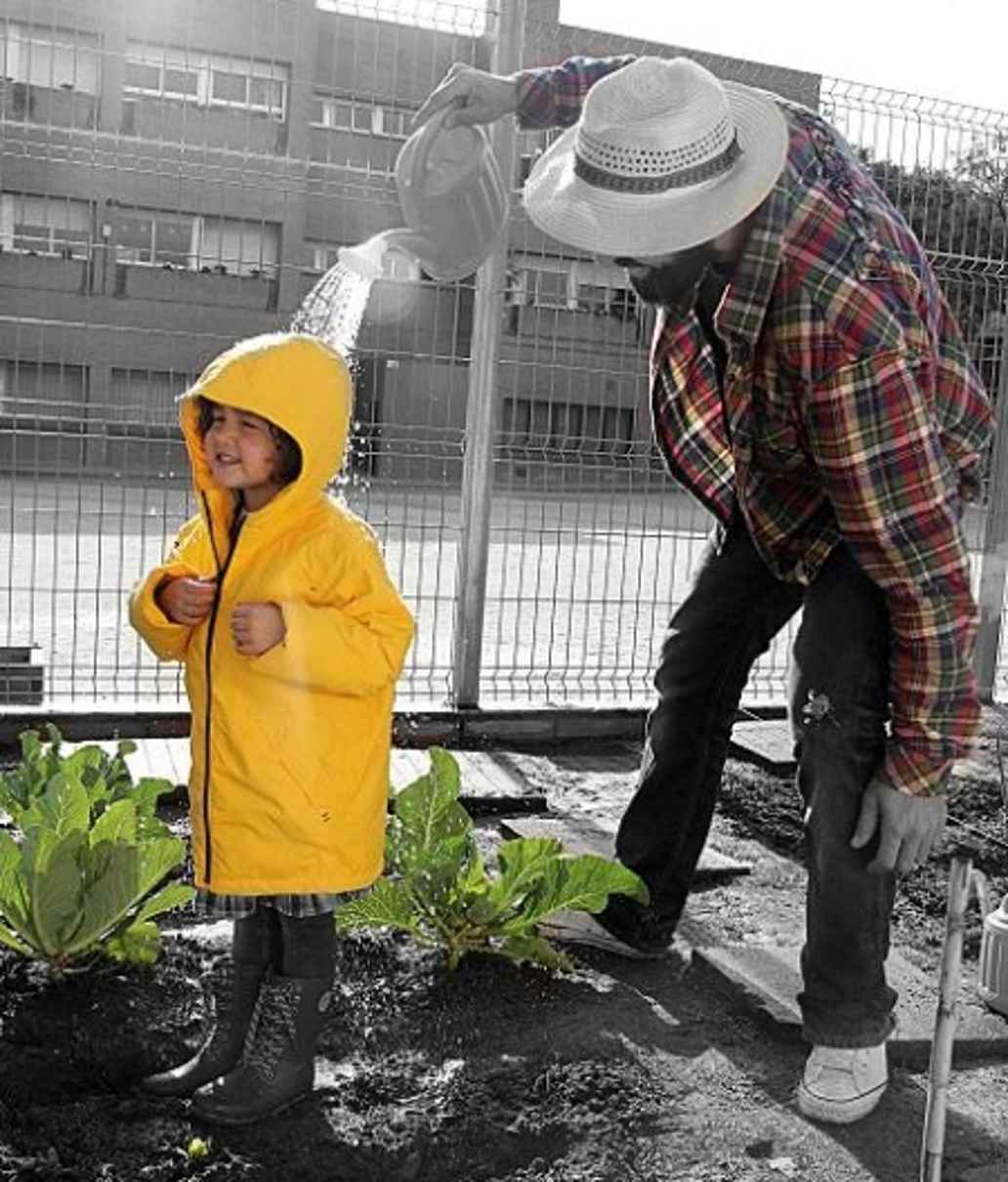 La importancia de vincular la educación ambiental con la educación emocional